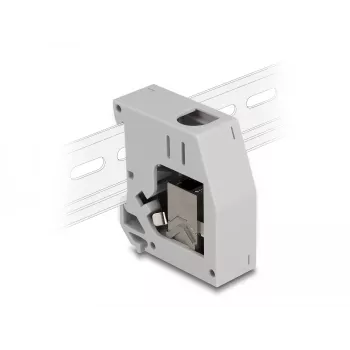 DeLOCK αντάπτορας ράγας DIN υποδοχή RJ45 σε υποδοχή RJ45 Cat.6A γκρι