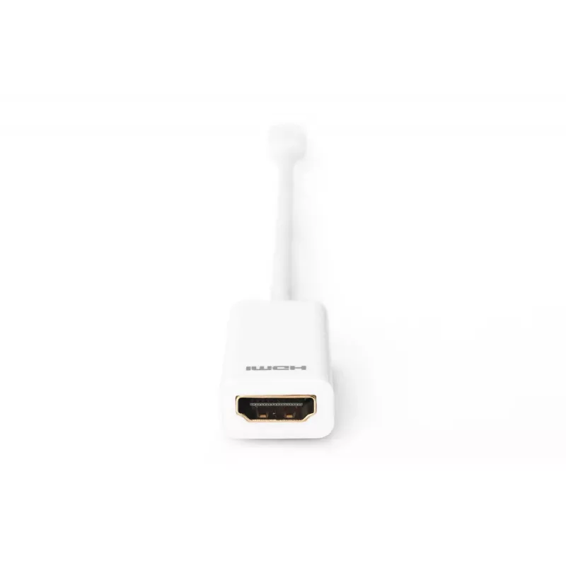 Καλώδιο προσαρμογέα DisplayPort Digitus Mini DP σε HDMI Type A