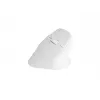 Ποντίκι NATEC Crake 2, universal, για δεξιόχειρες, RF Wireless + Bluetooth, οπτικό, 2400 DPI