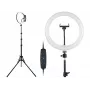 TRACER RING 30cm Ring Light με τρίποδο 210cm