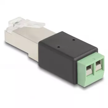 DeLOCK RJ45 βύσμα αρσενικό σε προσαρμογέα terminal block 2 ακίδων 66604 μαύρο πράσινο