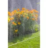 GARDENA λάστιχο ψεκασμού 7,5 m (1995-20)