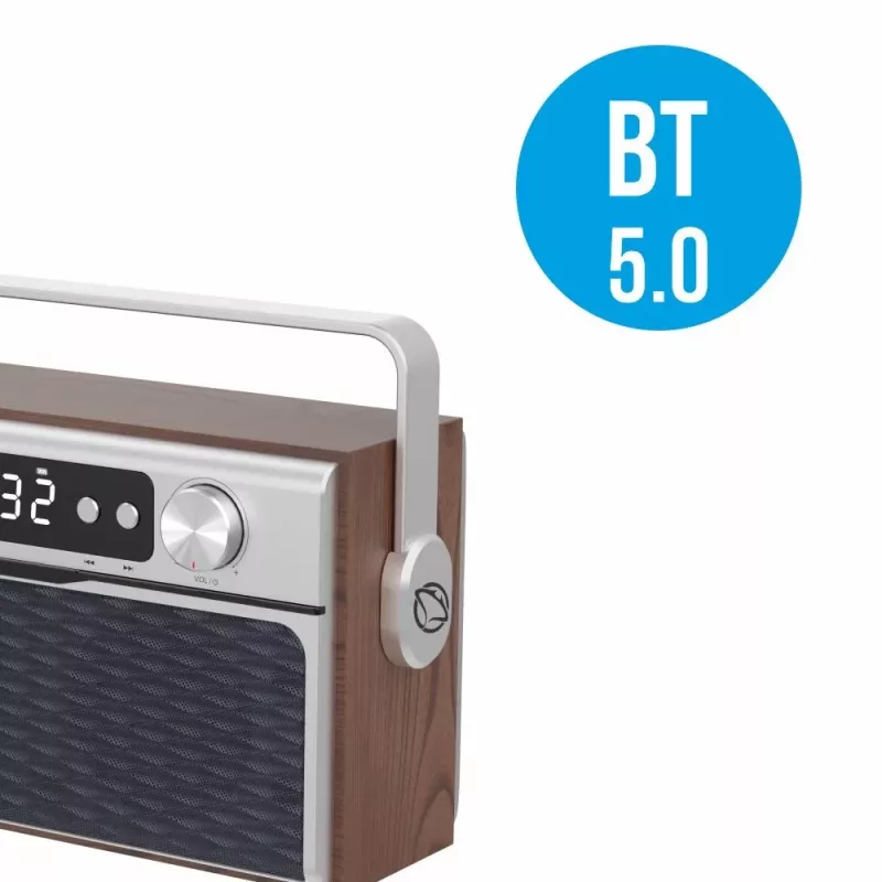 Φορητό ραδιόφωνο MANTA RDI917PRO με Bluetooth και αναπαραγωγή USB