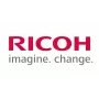 Ricoh D1369680 (D136-9680) Κίτρινο γέλης (SPEC)
