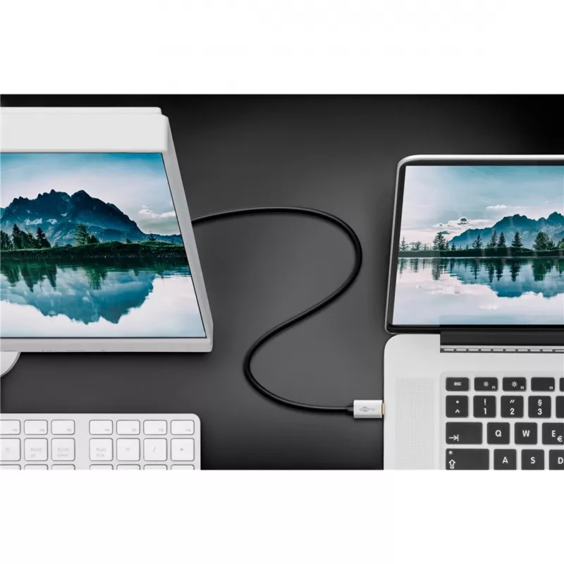 Goobay | καλώδιο adapter USB-C σε DisplayPort | 60176 | Type-C | DisplayPort | USB-C σε DisplayPort | 2 m