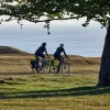 Thule 5404 Shield Ποδηλατική τσάντα 25L ζευγάρι μπλε