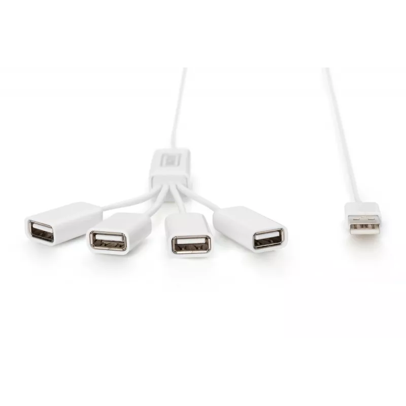 Delock Προσαρμογέας USB - USB Type A (W) σε 24 pin USB-C (M)