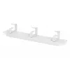 Πάνελ διαχείρισης καλωδίων Digitus DN-10 ORG-1U