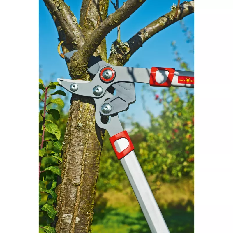Ψαλίδι κλαδιών WOLF-Garten POWER CUT RS 650 BASIC PLUS