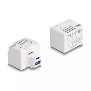 DeLOCK Keystone module USB Type-A USB Type-C PD 20W λευκό