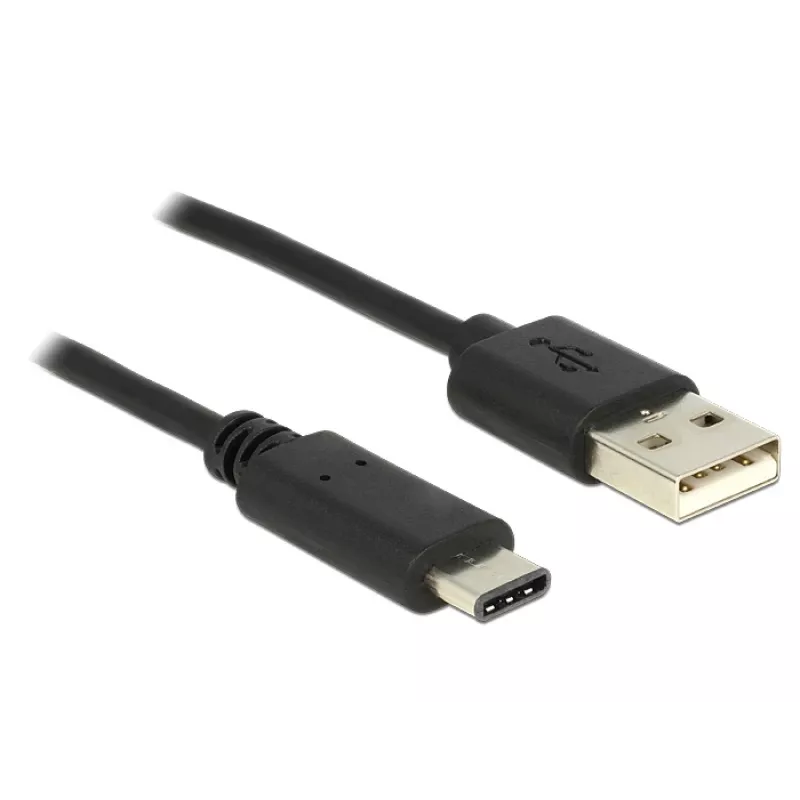 Καλώδιο USB DeLOCK 0,5 m USB2.0-A USB2.0-C