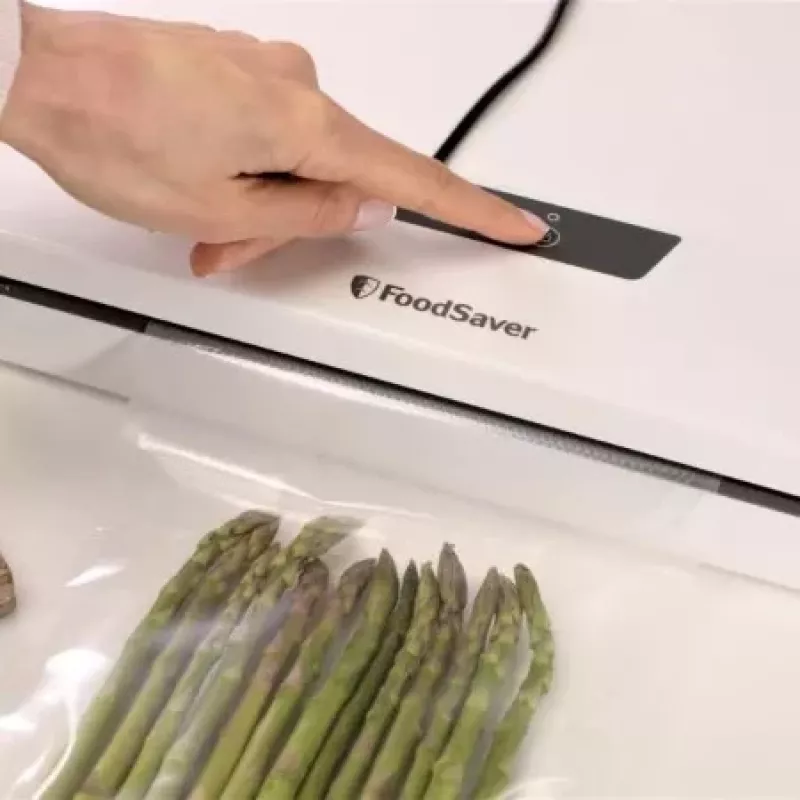 FoodSaver συσκευή κενού VS0290X