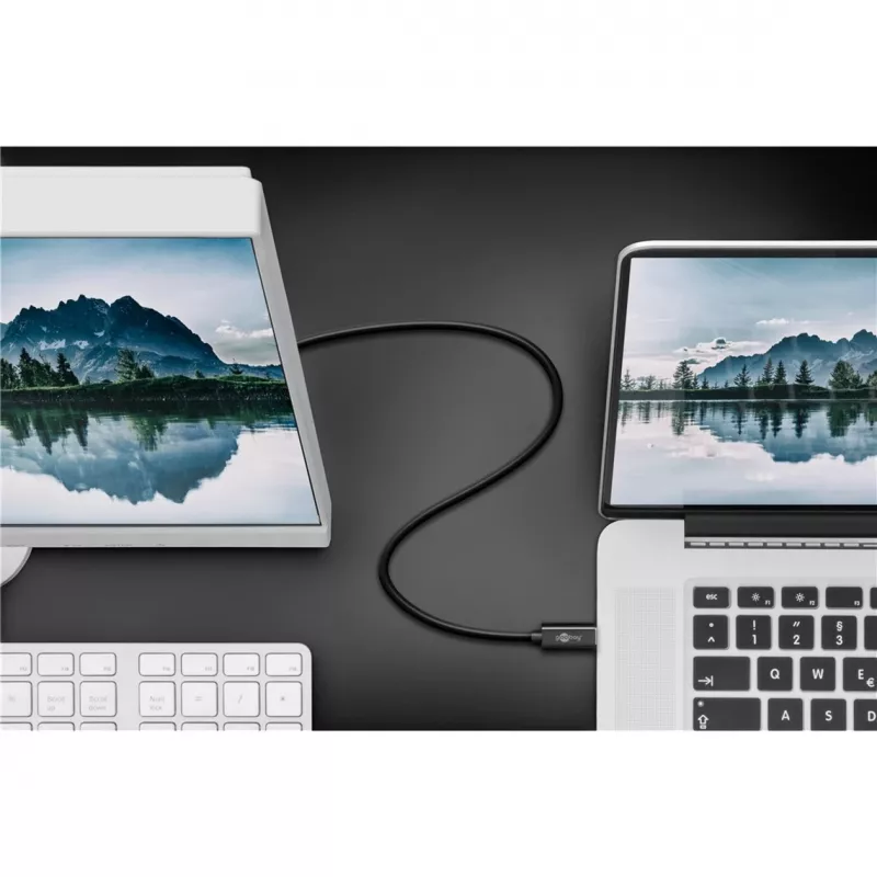 Goobay USB-C σε DisplayPort. Α/Α. Μαύρο