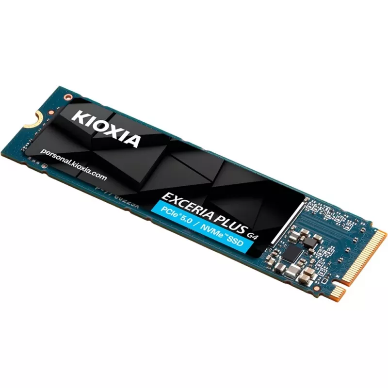 Kioxia LVD10Z002TG8 εσωτερικός στερεός δίσκος 2 TB M.2 PCI Express 5