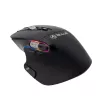 Ασύρματο ποντίκι Tellur TLL491261 USB