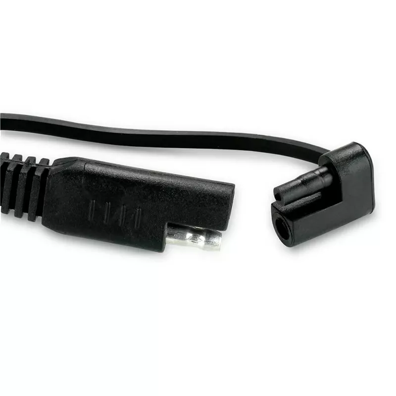 Φορτιστής μπαταρίας αυτοκινήτου everActive CBC1 6V/12V