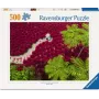 Puzzle Ravensburger Ένα πέλαγος από κόκκινο — 500 τεμ., Τέχνη, από 12 ετών