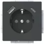 Busch-Jaeger πρίζα SCHUKO USB-A+C 20 EUCB2USBAC-885 (2CKA002011A6312)