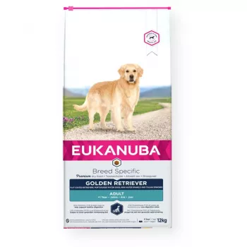 Eukanuba Golden Retriever τροφή για σκύλους με κοτόπουλο, 12 kg