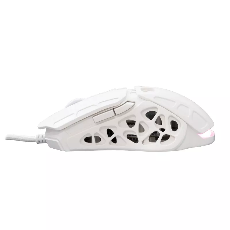 Ποντίκι White Shark GM-5016 Ector White USB