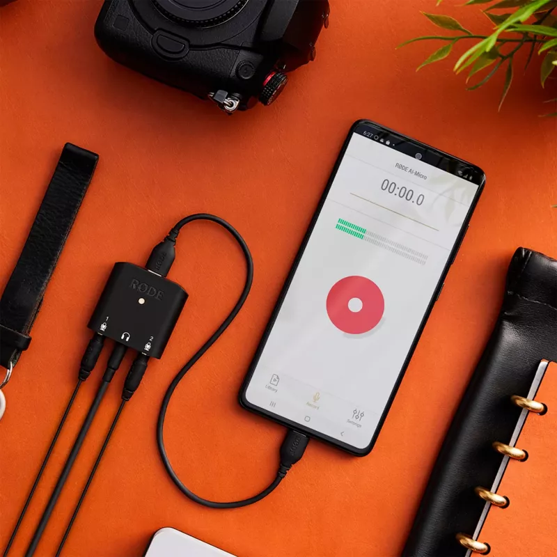 Καλώδιο Rode SC22 USB-C σε USB-C, 30cm (SC22)