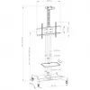 Hagor 8209 HP Twin Stand κινητή βάση δαπέδου για οθόνες 32-55 ιντσών (81-140 cm), 45 kg, ρυθμιζόμενου ύψους, μαύρη