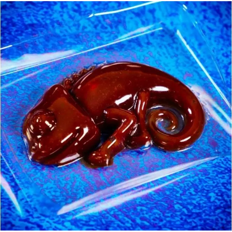 Liscianigiochi Science Kit Crazy Science Slime Chameleon 304-PL89246 – εκπαιδευτικό σετ πειραμάτων λάσπης