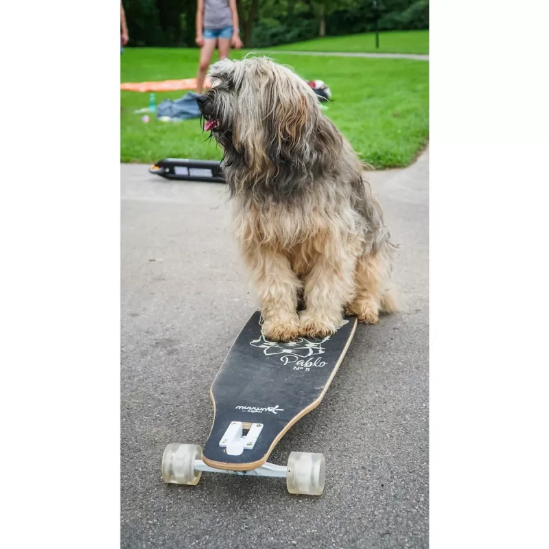 Longboard Muuwmi Lights GLOW ABEC 7 με φωτεινούς τροχούς, μαύρο/πράσινο