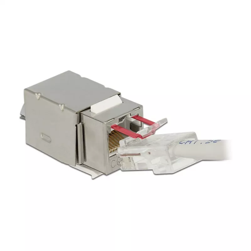 Delock 86404 Keystone-Module RJ45 Secure Cat.6 σε LSA, Λευκό