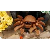 LEGO ICONS 10366 Τροπικό Ενυδρείο