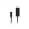 Lanberg CA-CMDP-10CU-0010-BK καλώδιο USB-C σε DisplayPort 1 m, 4K/60Hz, HDR, 21,6 Gb/s, επιχρυσωμένα βύσματα, μαύρο