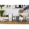 Zwilling Enfinigy Ασημί Συσκευή παρασκευής αφρού γάλακτος