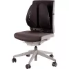 ΥΠΟΣΤΗΡΙΓΜΑ ΠΛΑΤΗΣ ΚΑΡΕΚΛΑΣ/BACK ANGEL 8026401 FELLOWES