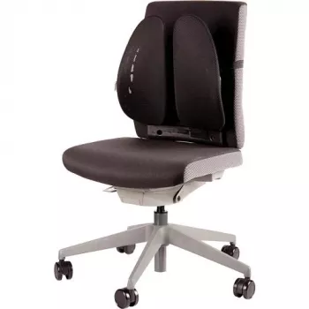 ΥΠΟΣΤΗΡΙΓΜΑ ΠΛΑΤΗΣ ΚΑΡΕΚΛΑΣ/BACK ANGEL 8026401 FELLOWES