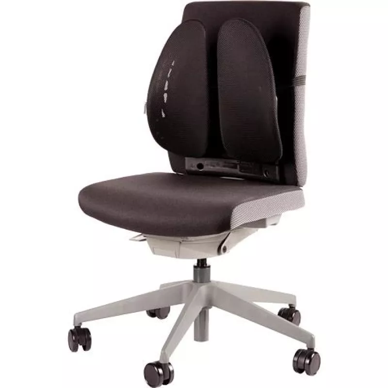 ΥΠΟΣΤΗΡΙΓΜΑ ΠΛΑΤΗΣ ΚΑΡΕΚΛΑΣ/BACK ANGEL 8026401 FELLOWES