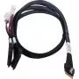 Καλώδιο SAS ADAPTEC Microchip Technology 2305500-R SlimSAS ×8 σε 2×2SFF-8639 U.2, 0,8 m, μαύρο