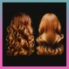Haarstyler SBB. Blow Dry Air Styler SBDR-2000-EU — πιστολάκι και εργαλείο βούρτσας