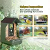 EASYPIX Bird Camera Easypix Bird Cam 10123 1080p HD νυχτερινή όραση