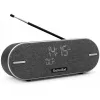 Φορητό ραδιόφωνο TechniSat DIGITRADIO BT 2 DAB+ FM 20W