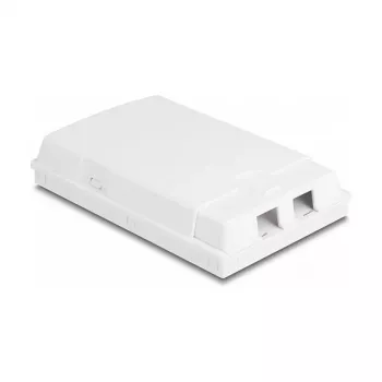 Πρίζα οπτικών ινών DeLOCK 2 x SC Simplex LC Duplex λευκό