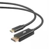 Καλώδιο USB-C σε DisplayPort TB AKTBXVDUSBCDP2B 2 m – μαύρο