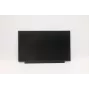 Lenovo 02HL701 13,3 ίντσες HD TN πάνελ LCD, αντιθαμβωτικό, 250 cd/m²