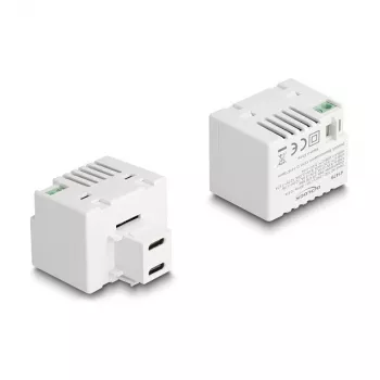 DeLOCK Keystone module 41479 2 x USB Type-C PD 20W λευκό