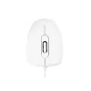 MODECOM M10 M-MC-0M10-200 Ποντίκι (οπτικό, 1000 DPI, λευκό χρώμα) (M-MC-0M10-200)