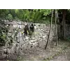 Λάστιχο νερού Karcher Plus 1/2- 50M