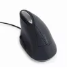 Ποντίκι Gembird MUS-ERGO-03 USB Type-A Οπτικό Δεξιόχειρας