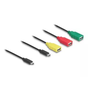 DeLOCK 4-Port USB 2.0 Hub με καλώδιο USB Type-C σε 3 x υποδοχή USB-A + 1 x βύσμα USB-C