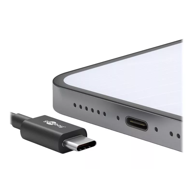 Wentronic goobay - Καλώδιο USB - USB-C (M) σε USB-C (M) - USB 2.0 3 A - 0,5 m - Μαύρο (66316)