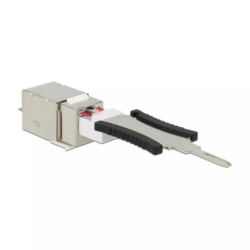 Delock 86404 Keystone-Module RJ45 Secure Cat.6 σε LSA, Λευκό