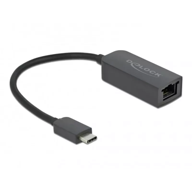 Αντάπτορας USB Type-C βύσμα αρσενικό σε 2,5 Gigabit LAN compact DeLOCK 66645